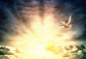 Let There Be Light