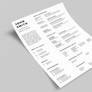 Simple Resume CV with Business Card