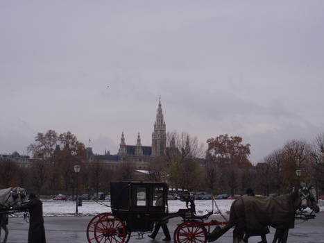 Vienna - rathaus