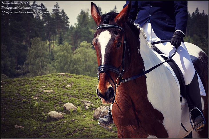 Meadow Gallop