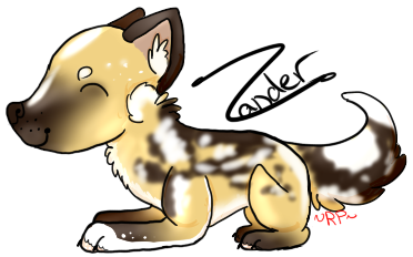 Zander header by redpanda110 on DeviantArt