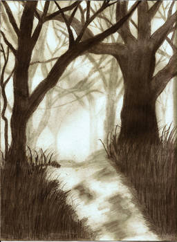 Foggy Woods-Tree OutlineForMoe