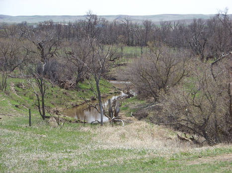 The Knife River