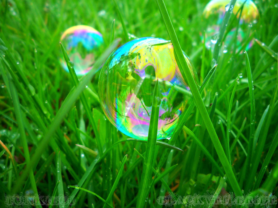 Forever blowing bubbles...