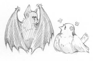 bat and bird