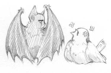 bat and bird