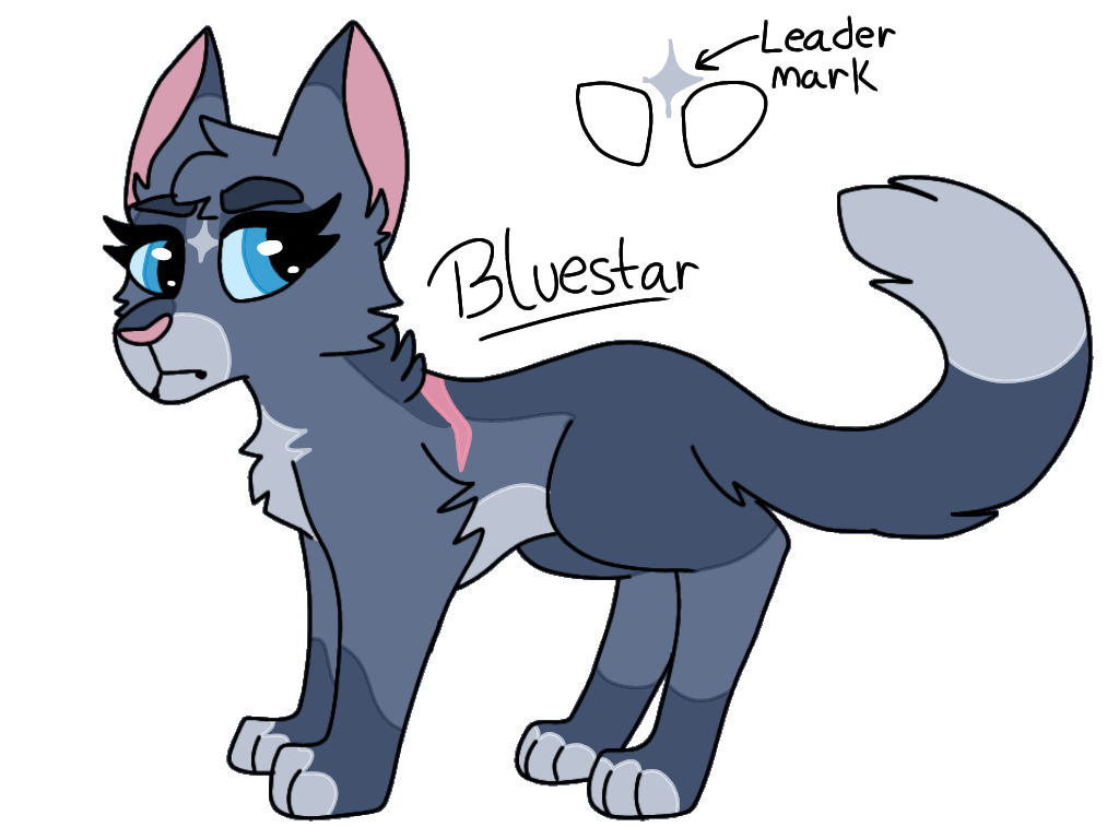Bluestar  Warrior cats, Warrior cat, Feral cats