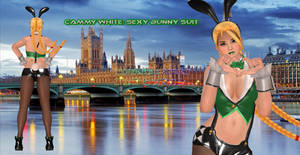 Street Fighter: Cammy in a Bunny Suit (Fanmod)