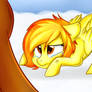 Spirit of Fire
