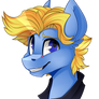 :COMMISSION: Blue Ballad Headshot