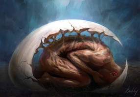 Egg