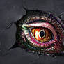 Lizard Eye