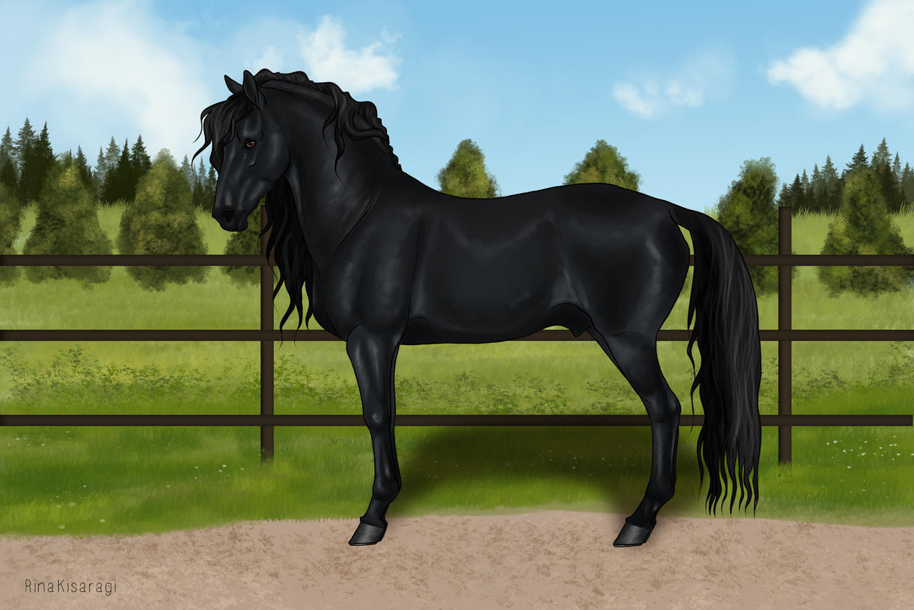 Talmound Talmund by Rina-glxy on DeviantArt