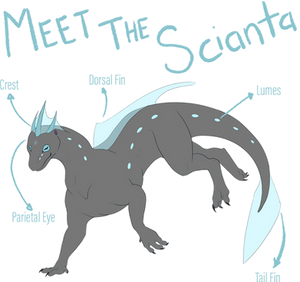 Meet The Scianta