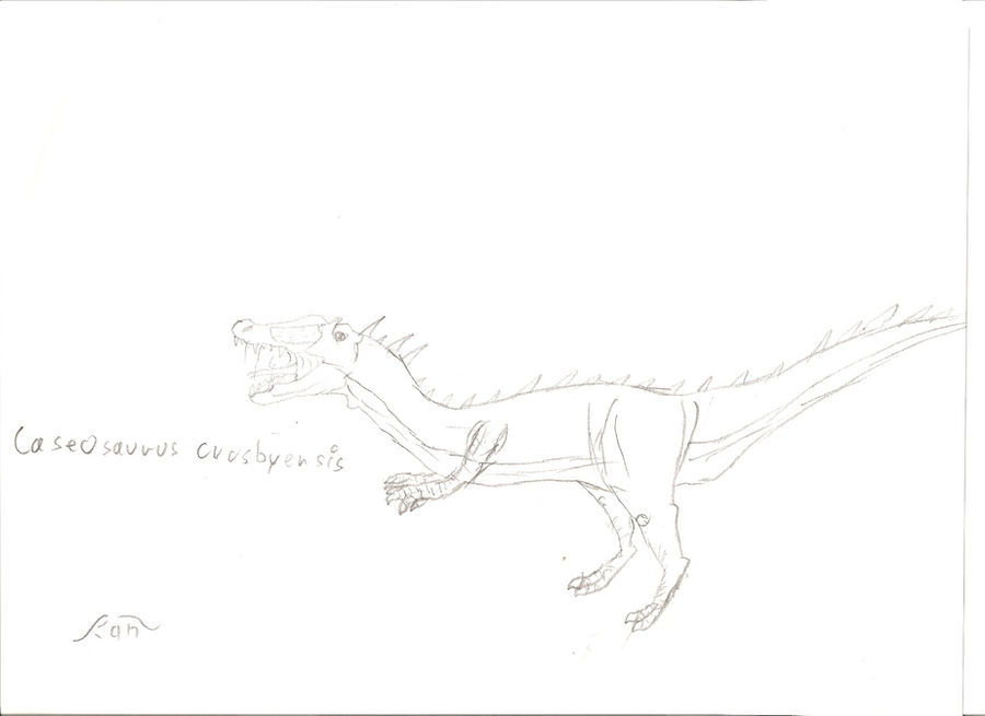 Caseosaurus Size Caseosaurus cuusbyensis by MaxlFaxl on DeviantArt