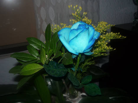 Blue Rose 2