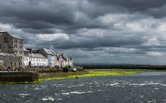 Grey Galway