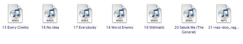 MP3 and WMA