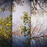 Supersampler