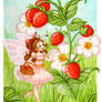 Strawberries' fairy