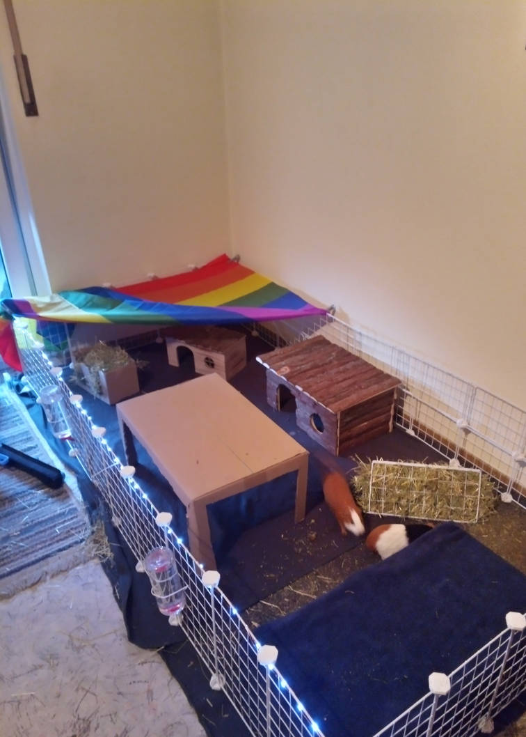 img_20220504_062827_3_by_nightovertamriel_df4slcd-pre.jpg?token=eyJ0eXAiOiJKV1QiLCJhbGciOiJIUzI1NiJ9.eyJzdWIiOiJ1cm46YXBwOjdlMGQxODg5ODIyNjQzNzNhNWYwZDQxNWVhMGQyNmUwIiwiaXNzIjoidXJuOmFwcDo3ZTBkMTg4OTgyMjY0MzczYTVmMGQ0MTVlYTBkMjZlMCIsIm9iaiI6W1t7ImhlaWdodCI6Ijw9MTc5MSIsInBhdGgiOiJcL2ZcLzc3MTkwNmNlLTdiNmQtNDU2ZS1iYzI5LTIxNzc2MmViNjQxN1wvZGY0c2xjZC0yNTQzMTNjZC1jNDI0LTQ3YTEtYTkwNC0wNmU3MGVhNGVmZWMuanBnIiwid2lkdGgiOiI8PTEyODAifV1dLCJhdWQiOlsidXJuOnNlcnZpY2U6aW1hZ2Uub3BlcmF0aW9ucyJdfQ.-1AZXMhA6S8-QLZ3Q0lOp5pbdJNSwYCHYSo60g1M_hc