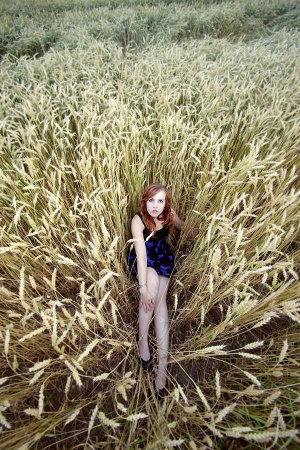 lost in corn