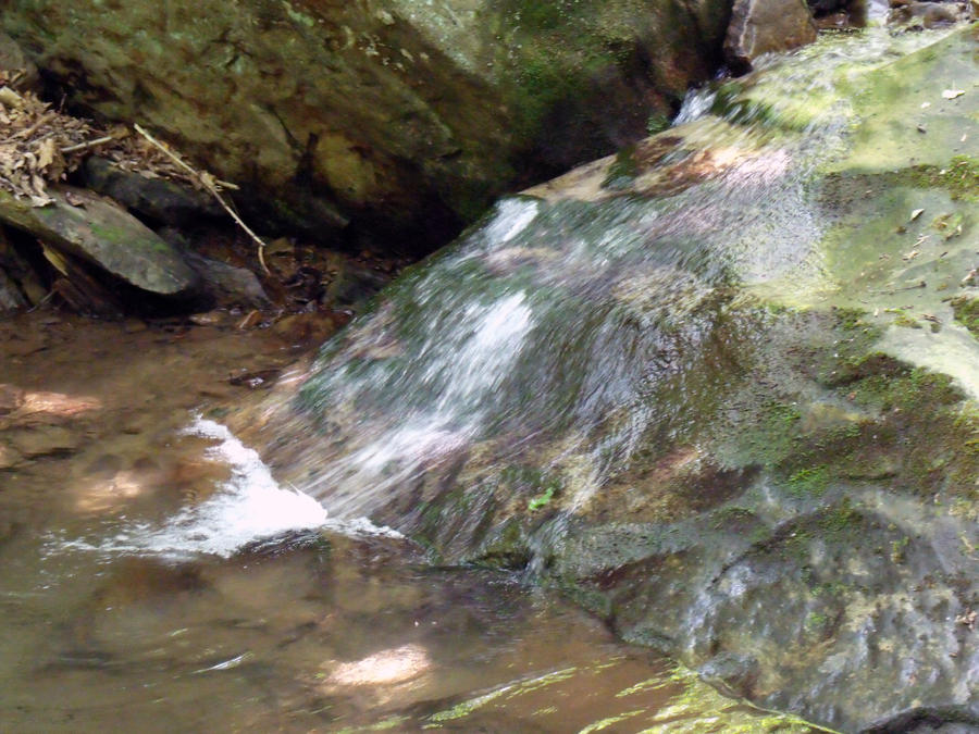 Millwood Hollow Stream 2