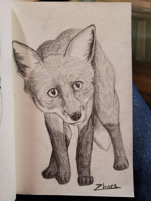 Graphitew Fox Graphite Fox by SZSketches on DeviantArt