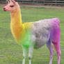 The Majestic Llamacorn