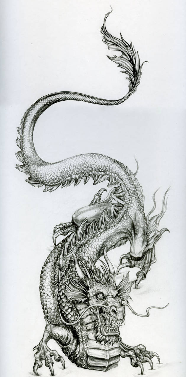 Le-dragon by vinkalu