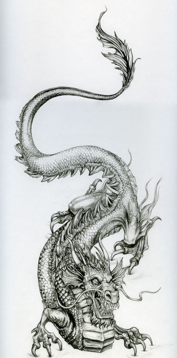 Le-dragon by vinkalu