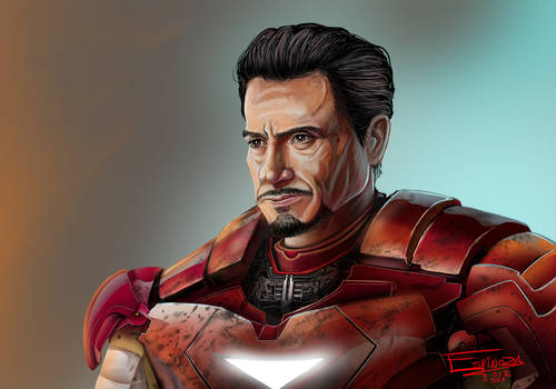 Robert Downey JR as Tony Stark
