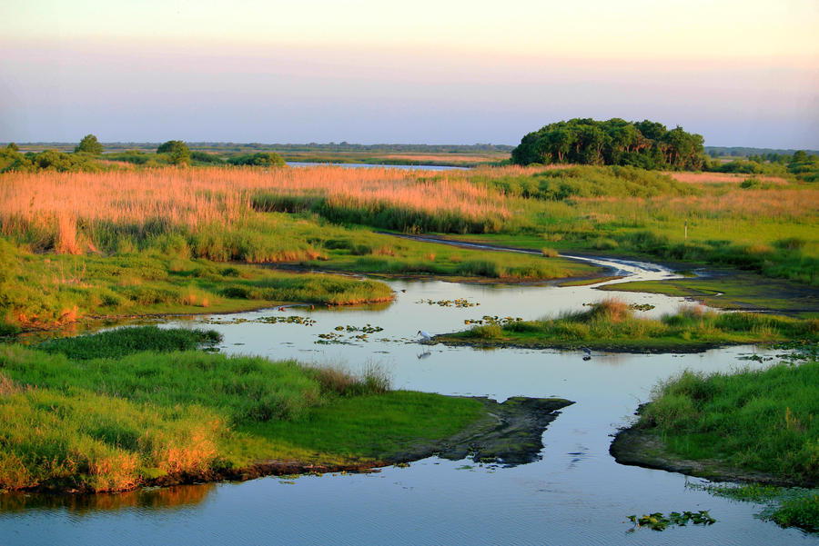 St Johns River - Evergold