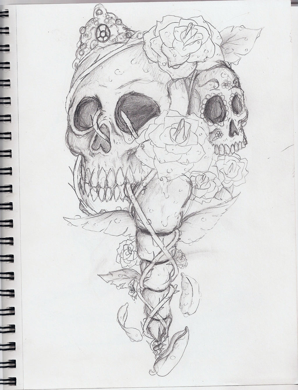 Skull and roses sketch