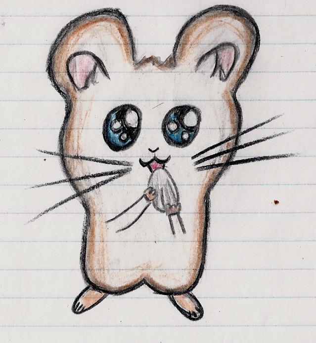 My Drawing of a Hamster!