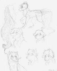 Expressions Practice- BroadwayWolf