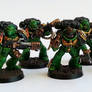 Salamander Veterans