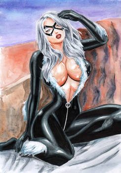 Black Cat