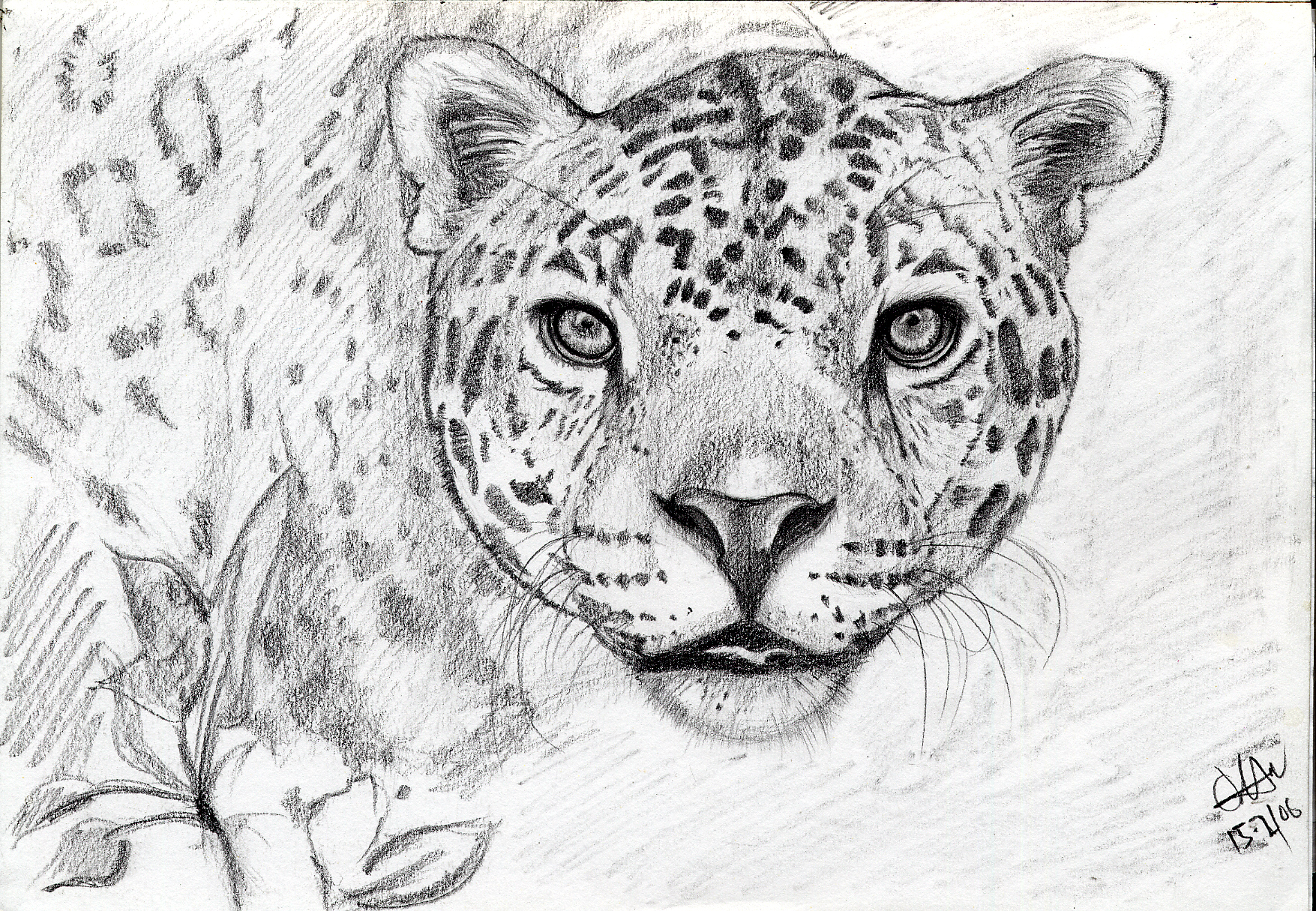 jaguar