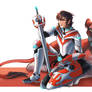 The Red Paladin