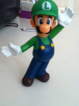 Mcdonalds Luigi!