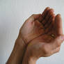 Hands