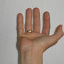 Hand 4 by Jay-B-Rich on DeviantArt