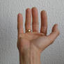 Hand 2