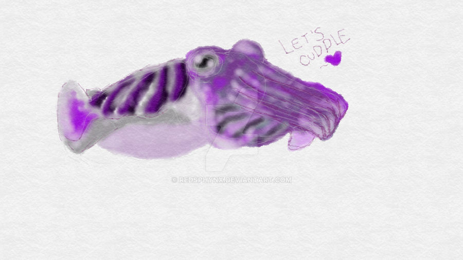 Cuddlefish by RedSphynx on DeviantArt