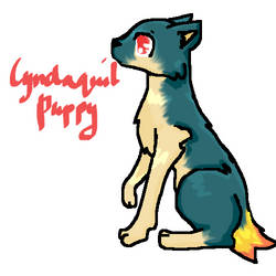 Cyndaquil Puppy