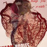 warm bodies book cover