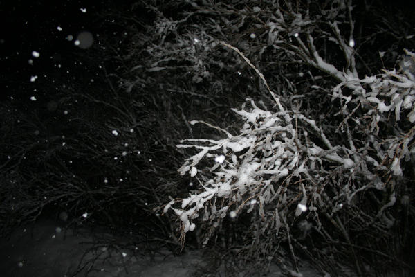 Snow in the Night 3