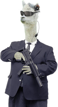 Llama Bodyguard