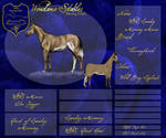 WBS Sunday Morning Moves by HaflingerLady